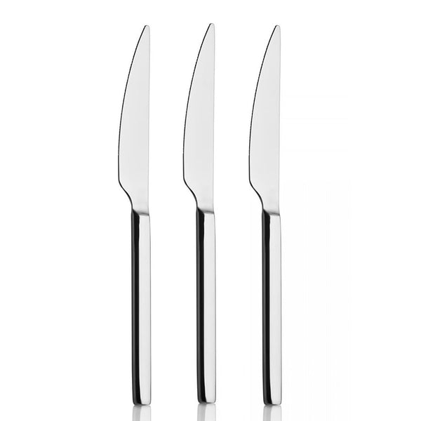 HAKAN Mercan Stainless Steel Table Knife Set, 12 Pcs