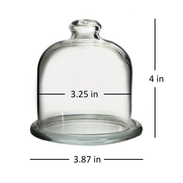 Mini Stand with Dome, Glass Food Preservation with Lid, 4 in