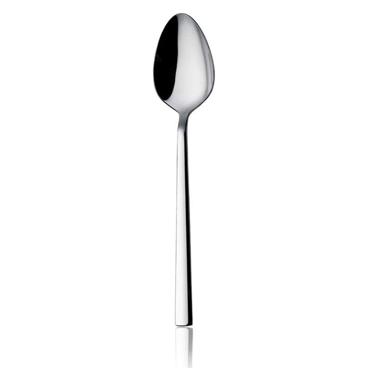 Stainless Steel Teaspoon and Dessert Spoon Set, 6 Pcs